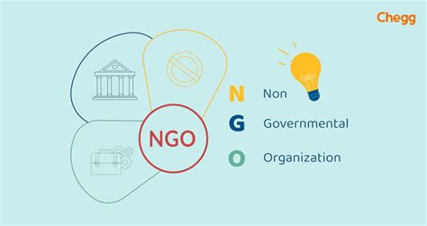 The NGO Company 